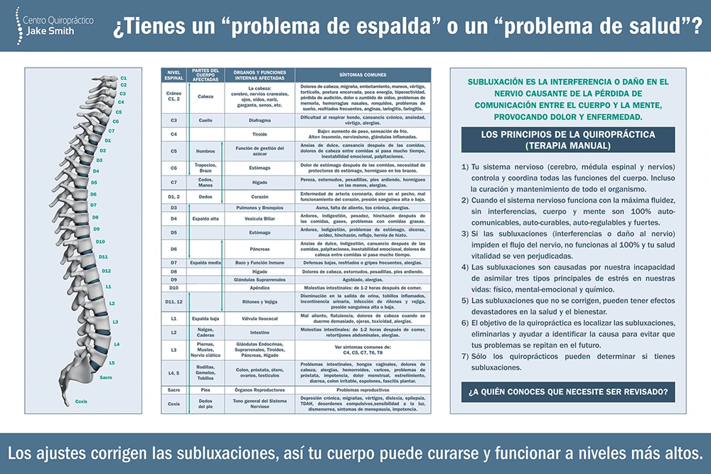 Quiropráctico Palma de Mallorca Problema De Espalda O Problema De Salud