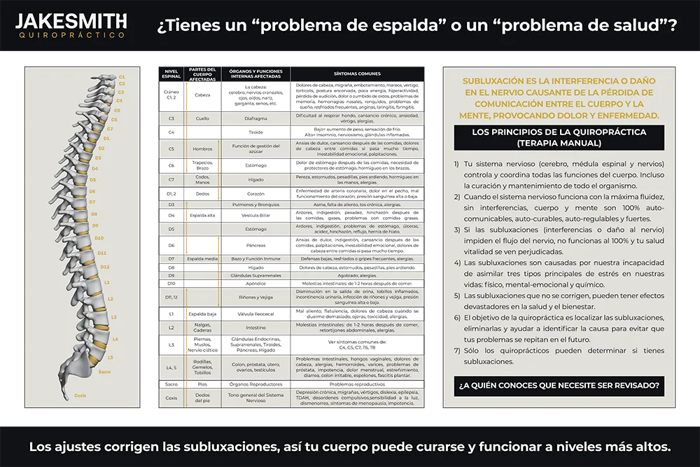 Quiropráctico Palma de Mallorca Problema De Espalda O Problema De Salud 2